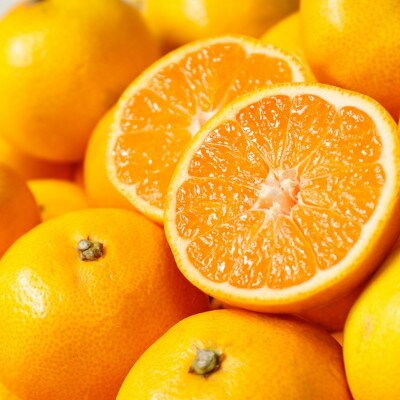 【農家直送】こだわりの完熟小粒みかん約5kg【3S～SSサイズ】【11月中旬より順次発送】広川町