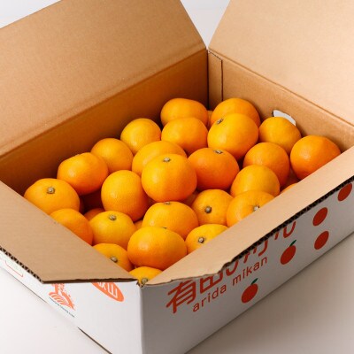 【農家直送】こだわりの完熟大玉みかん約7kg【3Lサイズ以上】【11月中旬より順次発送】広川町