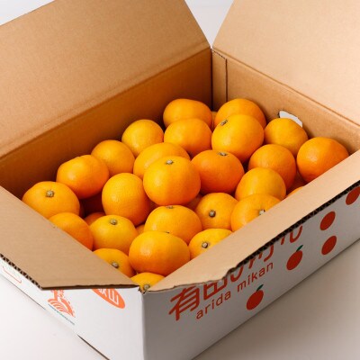 【農家直送】こだわりの完熟小粒みかん約10kg【3S～SSサイズ】11月中旬より順次発送(広川町)