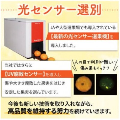 【25年10月～順次発送】完熟有田みかん2.5kg+75g傷み補償分)家庭用nuk004-c-2d5