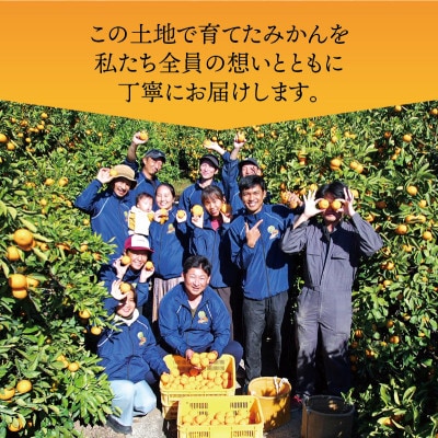 【25年10月より順次発送】完熟有田みかん4kg+250g(傷み補償分)ご家庭用nuk004-c-4