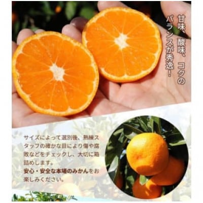 【25年10月より順次発送】完熟有田みかん5kg+150g(傷み補償分)ご家庭用nuk004-c-5