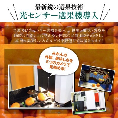 【25年10月より順次発送】完熟有田みかん8kg+250g(傷み補償分)ご家庭用nuk004-c-8