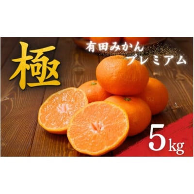 【25年10月～順次発送】有田みかんプレミアム 5kg　糖度12度以上2S～M　nuk004-p-5