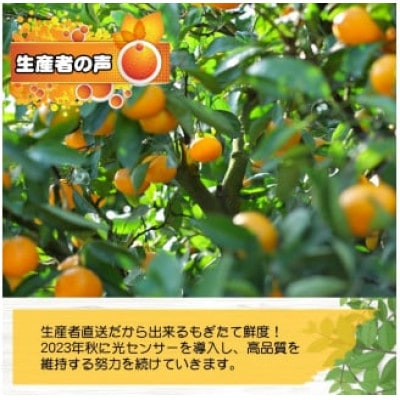 25年10月～順次発送　有田みかんプレミアム 10kg糖度12度以上2S～M　nuk004-p-10