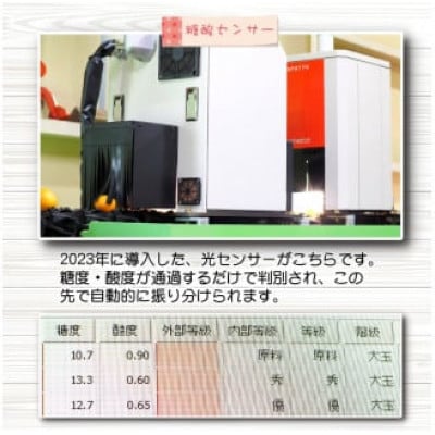 25年10月～順次発送　有田みかんプレミアム 10kg糖度12度以上2S～M　nuk004-p-10