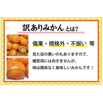 【25年10月～順次発送】【訳あり】有田みかん約7.5kgサイズ混合nuk004-noka-c7d5