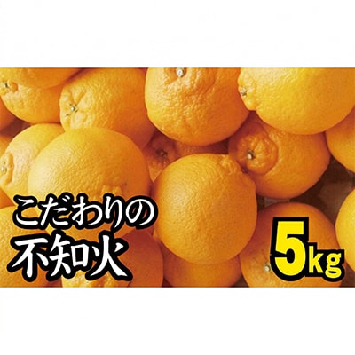【27年2月～順次発送】【農家直送】こだわりの不知火 約5kg　nuk010-r-5