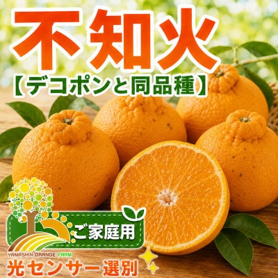 【農家直送】こだわりの不知火(しらぬい) 秀品 約5kg (nuk010-r-5)