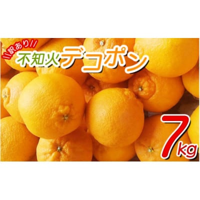 【26年2月～順次発送】【少し訳あり】不知火 デコポン約7kg　サイズ混合　nuk010-c-7A