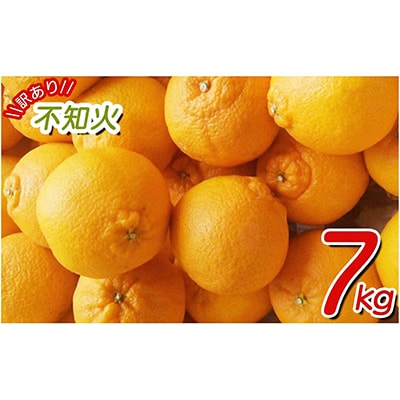 【27年2月～順次発送】【少し訳あり】不知火 約7kg　サイズ混合　nuk010-c-7A