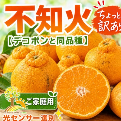 【少し訳あり】不知火 約7kg　サイズ混合　nuk010-c-7A