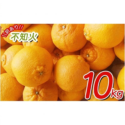【27年2月～順次発送】【少し訳あり】不知火約10kg　サイズ混合　nuk010-c-10A