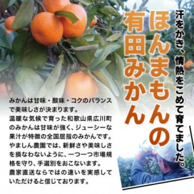 【25年10月～順次発送】ちっちゃな有田みかん約5kg(3S～Sサイズ混合)nuk004-s-5