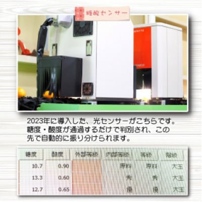 【25年10月～順次発送】ちっちゃな有田みかん約5kg(3S～Sサイズ混合)nuk004-s-5