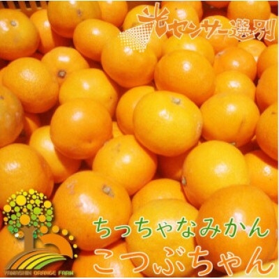 【25年10月～順次発送】ちっちゃな有田みかん約10kg(3S～Sサイズ混合nuk004-s-10A