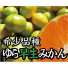 【2025年10月より順次発送】濃厚な味わいゆら早生みかん 5kg　nuk003-yura-5