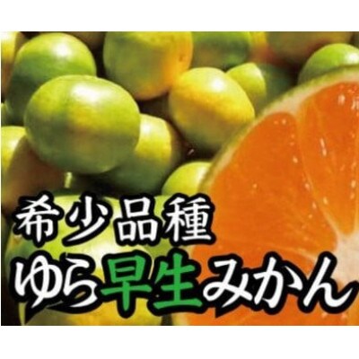 【2025年10月より順次発送】濃厚な味わいゆら早生みかん 5kg　nuk003-yura-5