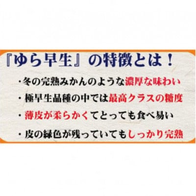 【2025年10月より順次発送】濃厚な味わいゆら早生みかん 5kg　nuk003-yura-5