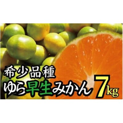 【2025年10月より順次発送】濃厚な味わいゆら早生みかん 7kg　nuk003-yura-7