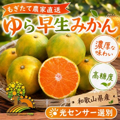 濃厚な味わい ゆら早生みかん 約7kg (nuk003-yura-7)