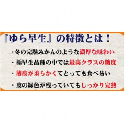 【2025年10月より順次発送】濃厚な味わいゆら早生みかん 7kg　nuk003-yura-7