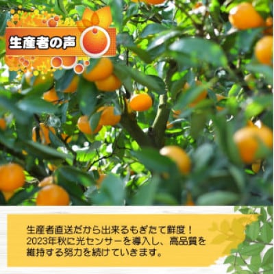 【2025年10月より順次発送】濃厚な味わいゆら早生みかん 7kg　nuk003-yura-7