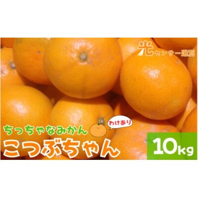 【25年10月より順次発送】【訳あり】3S ちっちゃな有田みかん約10kg nuk004-sc-10