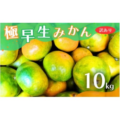 【2025年10月より順次発送】【訳あり】こだわりの極早生みかん 約10kg nuk003-c-10