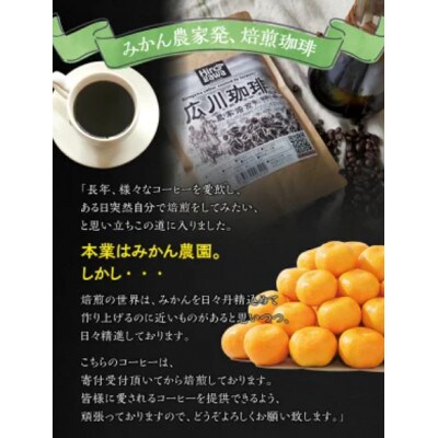 広川珈琲【豆】1000g 小分けパック ( ジッパー付 ) nuk108-mame-500