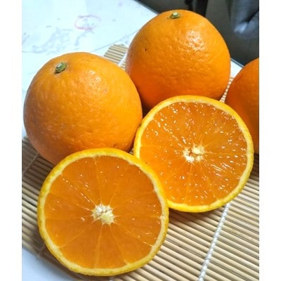 清見オレンジ みずみずしい果汁! 約4kg (SS～2L混合サイズ)