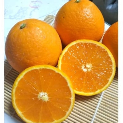 清見オレンジ みずみずしい果汁! 約5kg (SS～2L混合サイズ)