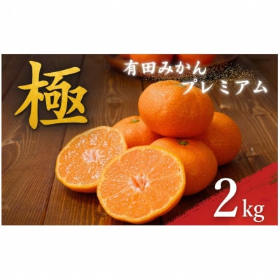 有田みかんプレミアム 極 約2kg 糖度12度以上 2S～L(nuk004-p-2)