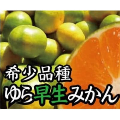 濃厚な味わいゆら早生みかん 約2kg (nuk003-yura-2)