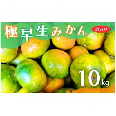 【訳あり】こだわり極早生みかん 約10kg (nuk003-c-10)
