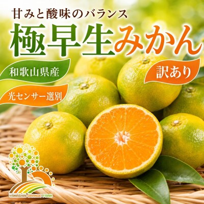 【訳あり】こだわりの極早生みかん 約10kg (nuk003-c-10)