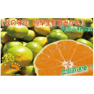こだわりの極早生みかん 約2kg (nuk003-r-2A)