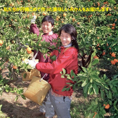 「久幸園」有田みかん3kg