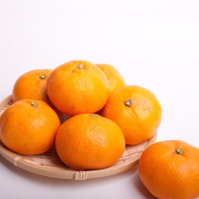 大玉な有田みかん10kg+300g(傷み補償分) 【訳あり有田みかん】【2Lサイズ以上詰合せ】