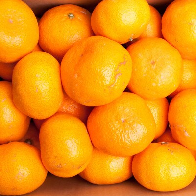 大玉な有田みかん10kg+300g(傷み補償分) 【訳あり有田みかん】【2Lサイズ以上詰合せ】