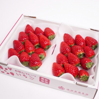 <1月より発送>朝摘み完熟まりひめ約600g(300g前後×2トレイ)【こだわりの土耕栽培のいちご】
