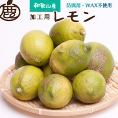 ＜先行受付＞加工用 黒潮レモン4.5kg+135g(傷み補償分)【WAX不使用】【わけあり】【果汁用