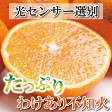 ＜2月より発送＞家庭用 不知火6kg+180g(傷み補償分)【光センサー食頃出荷】【わけあり】