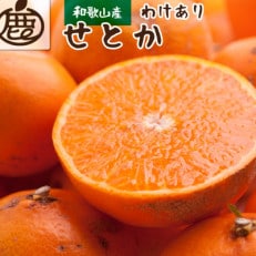 ＜先行受付＞家庭用せとか2kg+60g(傷み補償分)【柑橘・春みかん】【2月中旬より発送】