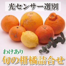 &lt;3月より発送&gt;家庭用旬の柑橘詰合せ4kg+120g(傷み補償分)【訳あり】【光センサー選別】