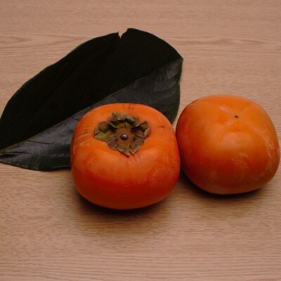 ＜10月より発送＞厳選たねなし柿3kg+90g(傷み補償分)　【刀根早生・平核無柿】