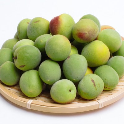 ＜6月発送＞家庭用 紀州南高梅(青梅)3kg+90g(傷み補償分)【梅干し・梅ジュース】【訳あり】
