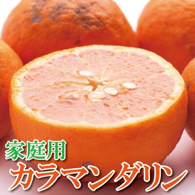 ＜4月より発送＞家庭用 カラマンダリン4kg+120g(傷み補償分)【訳あり】【春柑橘】
