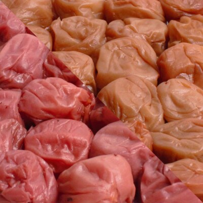 梅干し食べ比べ1kg(500g×2種類)(有田みかん蜂蜜・しそ)【紀州南高梅】