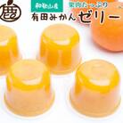 ＜順次発送中＞果肉ごろごろ有田みかんゼリー27個【有田みかんネクターをゼリーにしました】